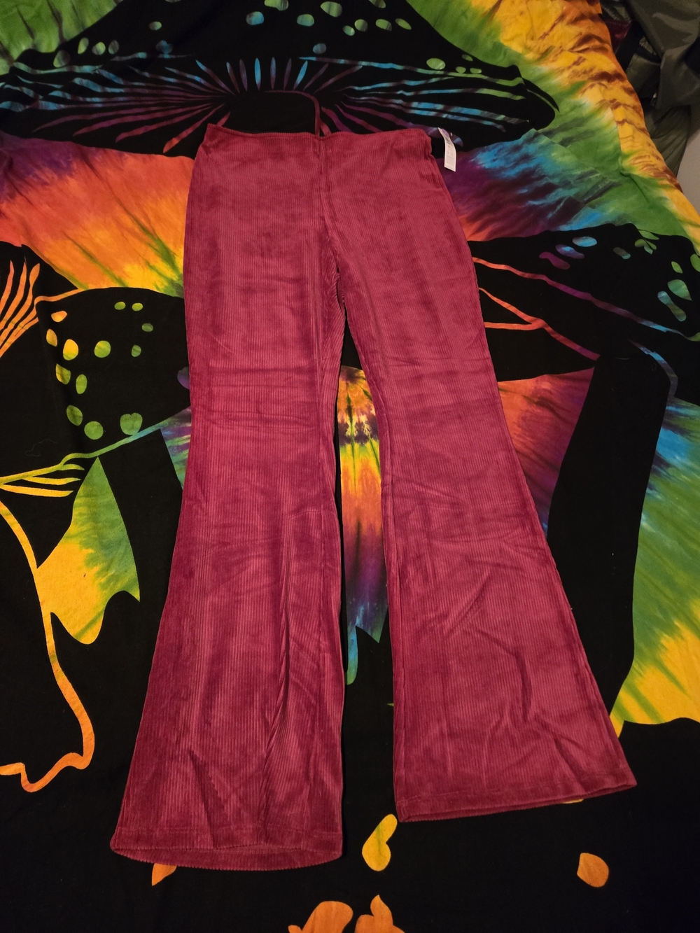 NOBO Burgundy Flare Pants